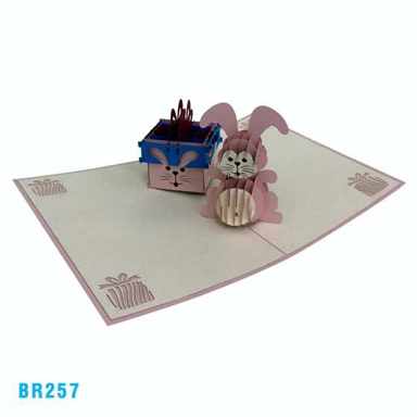 Birthday Rabbit Present Pop Up Card