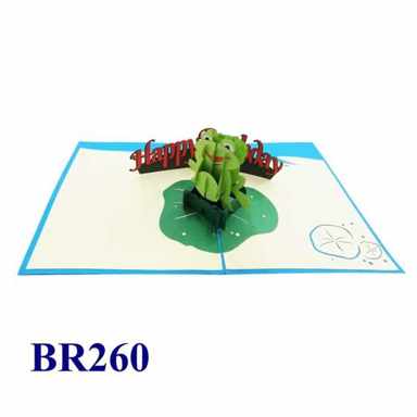 Birthday Frog Pop Up Card