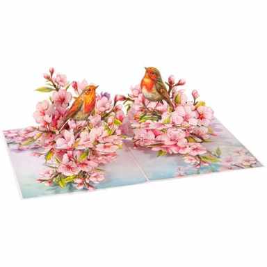 Cherry Blossom & Robin Birds 3D Pop Up Card