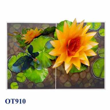 Yellow Water Lily — photo 1
