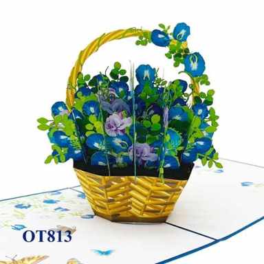 Butterfly Pea — photo 1