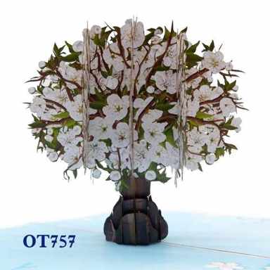 White Cherry Blossom Pop Up Card