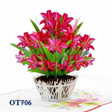 Red Amaryllis — photo 1