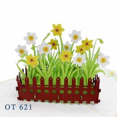 Daffodils Garden — photo 1