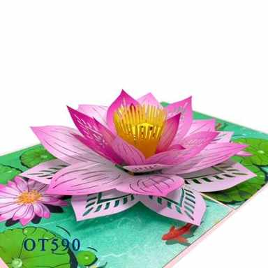 Pink Lotus — photo 1